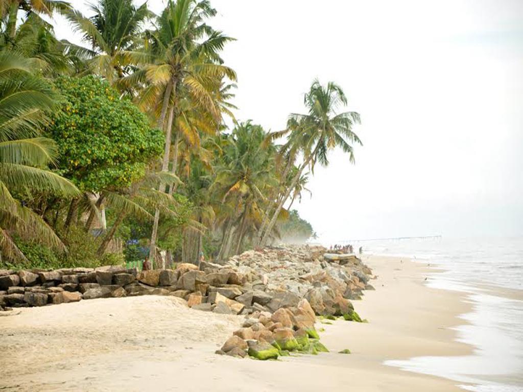 Angeo Beach House Alappuzha Habitación foto